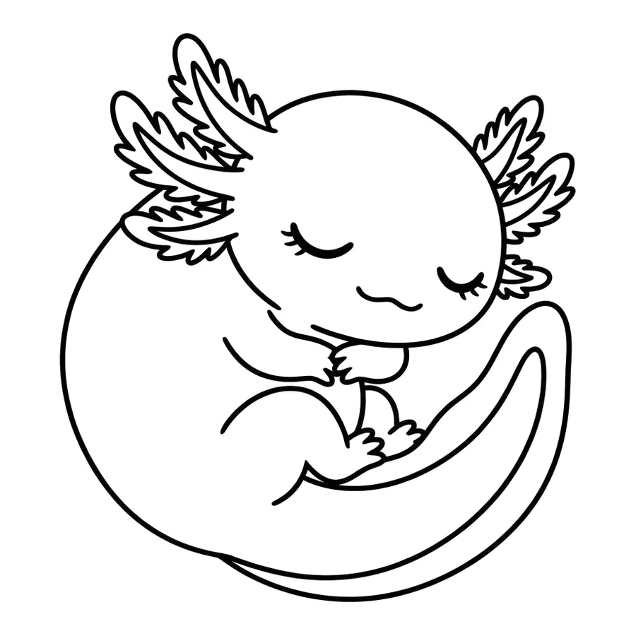 Cute axolotl coloring page 9